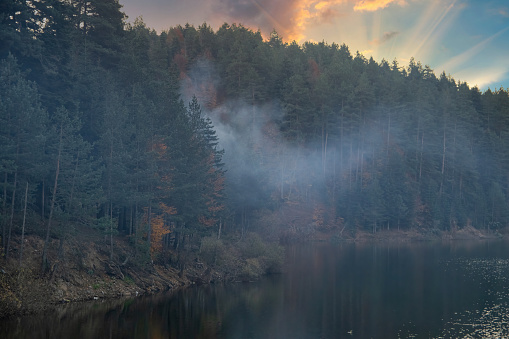 Thick fog floating over Bozcaarmut lake at dawn. Autumn morning at a forest lake with fog and beautiful warm colors