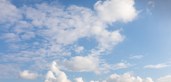 Nature background abstract photo of the beauty of the sky adorned with white, billowing cumulus clouds, creating an abstract texture against the vast expanse of bright blue. This panoramic view offers a captivating angle, showcasing the ethereal dance of clouds amidst the boundless sky. Immerse yourself in the tranquility of nature's canvas, where the interplay of light and shadow creates an ever-changing spectacle of wonder