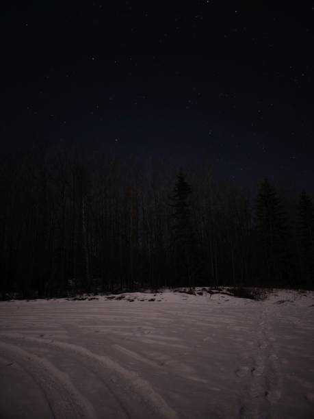 istock Starry Night over Pigeon Lake 2028417299