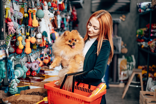 Beautiful redhead woman enjoying shopping with her gorgeous Pomeranian dog in a modern pet shop.