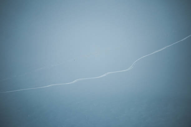 ski tracks in a snow slope