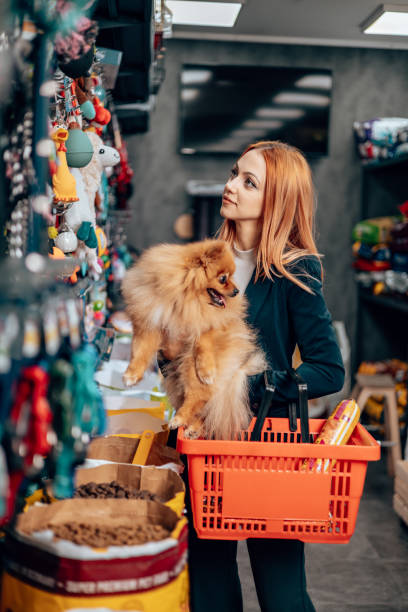 istock Shopping in a petshop 2028422315