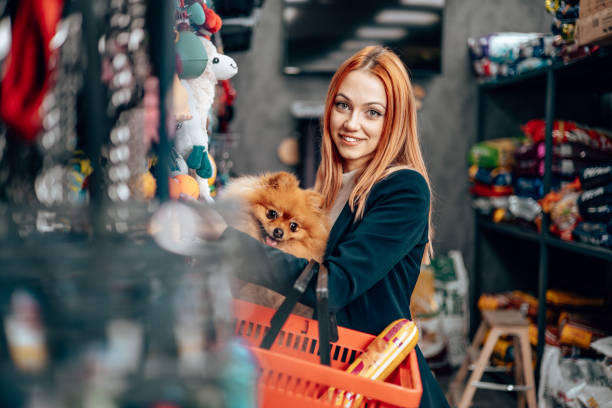 istock Shopping in a petshop 2028423364