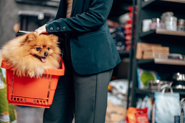 istock Shopping in a petshop 2028423907