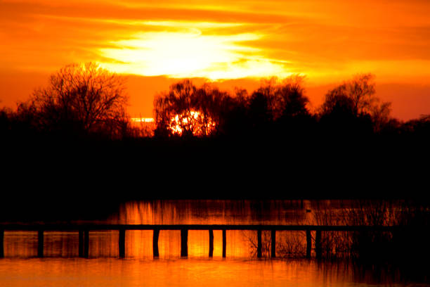 Sunset in a golden glow by the lake bridge went down behind the trees