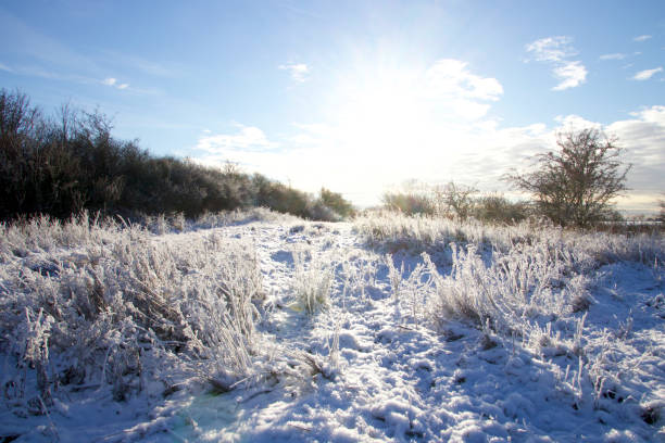 istock Beautiful winter landscape on the meadow 2028568508
