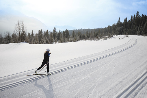 A female cross-country skier goes uphill at the Canmore Nordic Centre Provincial Park in Alberta, Canada. She is doing the classic-style technique on a bright, sunny morning.