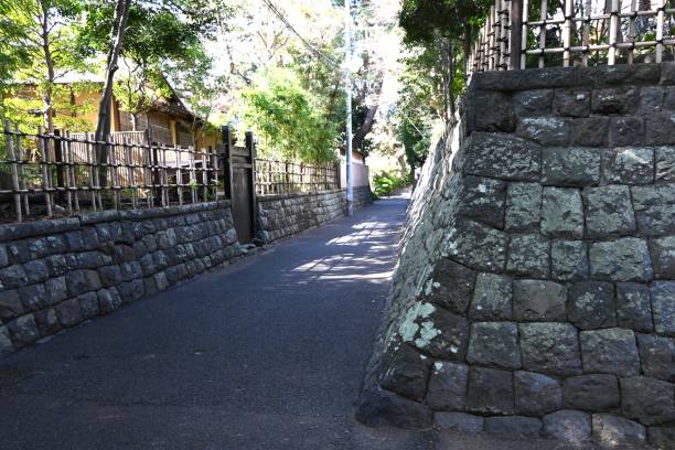 istock A traditional Japanese hedge made of bamboo. 2028696851