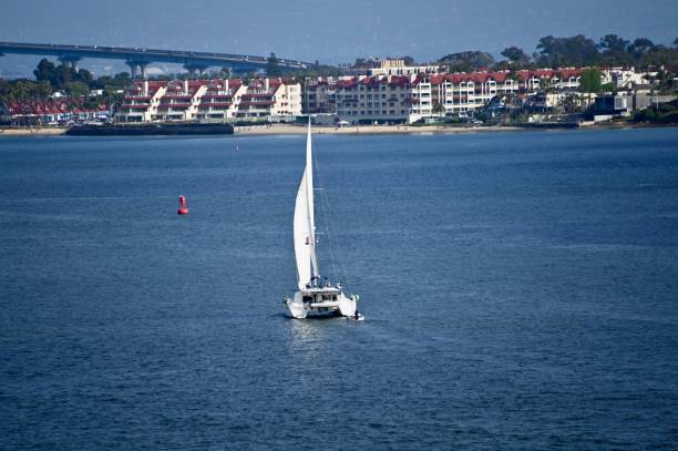 Dramatic harbor marina with recreational yachts and skyline of San Diego