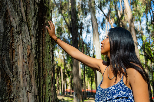 latin woman touching a tree in a forest in bolivia - ecology concept