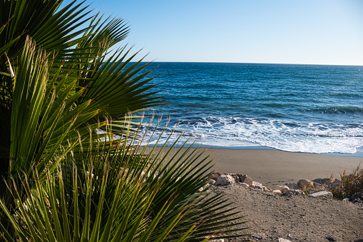 Framed by the lush fronds of palm trees, this tranquil beach in Malaga is a haven for holiday-goers. The soft sandy shore, caressed by the gentle Mediterranean waves, invites relaxation and seaside strolls. This image captures the essence of Malaga's beaches — a peaceful retreat with the promise of sunny skies and the soothing rhythm of the sea, perfect for a leisurely vacation.