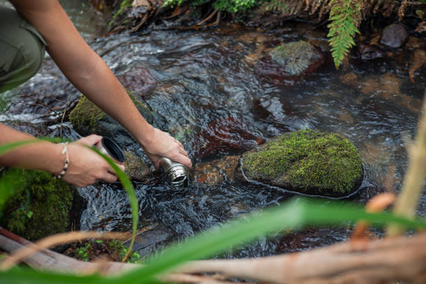 Sustainable Water Harvesting: Preserving Nature's Flow