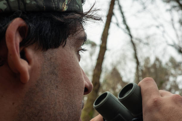 istock Forest Ranger on Watch: Surveying the Wilderness 2028755919