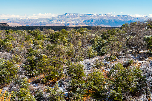 View of Grand Mesa and the mountains from just outside Colorado National Monument at the top of the park, just south of its boundaries, where the weather was chillier and frost and snow made an appearance that autumn day.