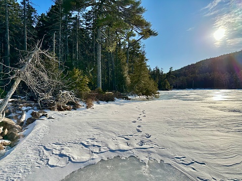 Acadia National Park In The Winter