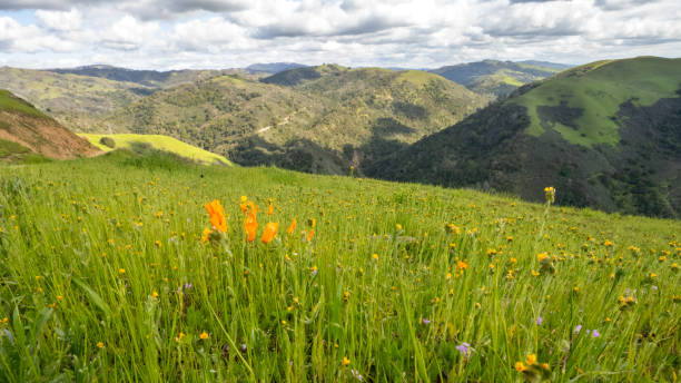 istock Sierra Vista Open Space Preserve Hillside 2028864290