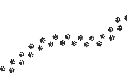 Dog footprint vector way. Cat footprint icon isolated pet silhouette path print.