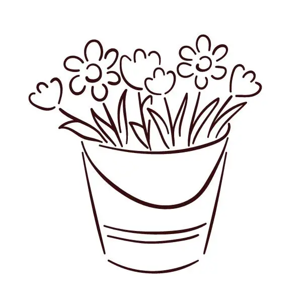 Vector illustration of Bucket with spring daisy and tulip flowers in line art style. Vector illustration isolated on a white background.