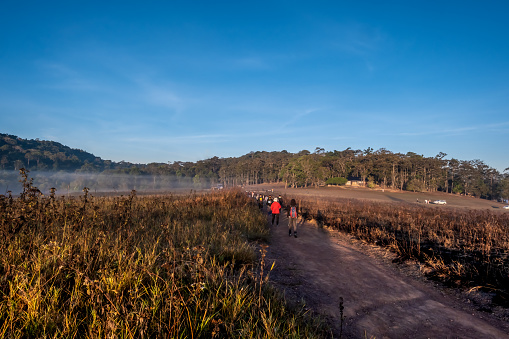 Chaiyaphum, Thailand - January 15, 2023 : The morning mist with the tourists come to relax and study nature at Phu Khiao National Park