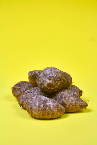 closeup of taro root vegetable, eddo malanga, yellow background - chinese eddo - fotografias e filmes do acervo