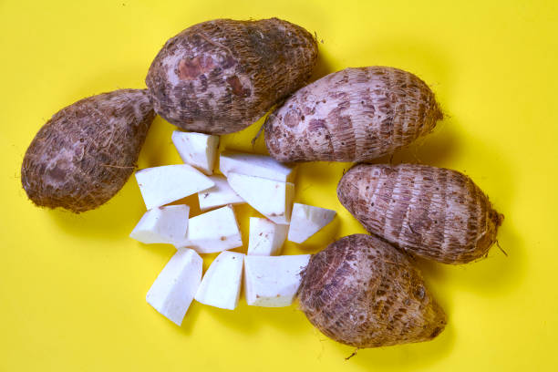 closeup of taro root vegetable, eddo malanga, yellow background - chinese eddo zdjęcia i obrazy z banku zdjęć