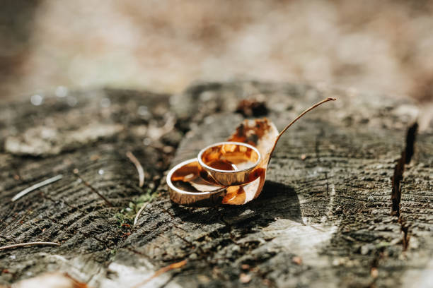 istock A pair of gold wedding rings on a tree bark or mushroom tree. Rustic wedding rings with a matte surface. Jewelry for nature lovers 2028990196