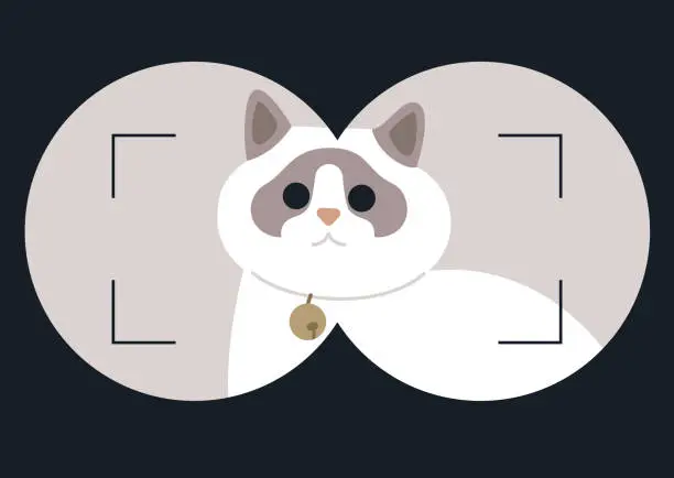 Vector illustration of a Cat Watcher, A playful illustration of a Ragdoll in Binoculars lenses against a simple backdrop