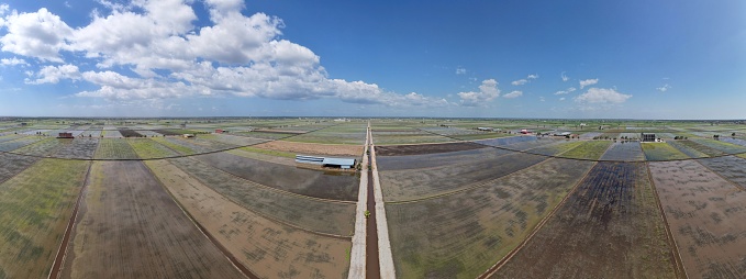 Sekinchan, Malaysia – February 12 2024: Aerial View of Sekinchan Village and Rice Fields