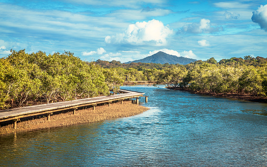 The view of the Urunga Lagoon and wetland from the Urunga Boardwalk in sunny days