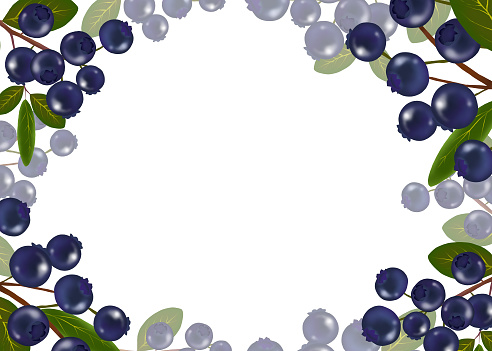 frame of blueberry plants with riped fruits