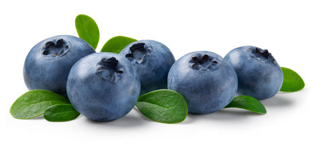 istock Blueberry isolated. Blueberries with leaves on white background. Blueberry with clipping path. Full depth of field. 2029226870