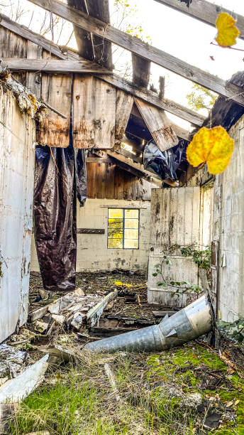 istock Abandoned House in Coloma State Park 2029271181