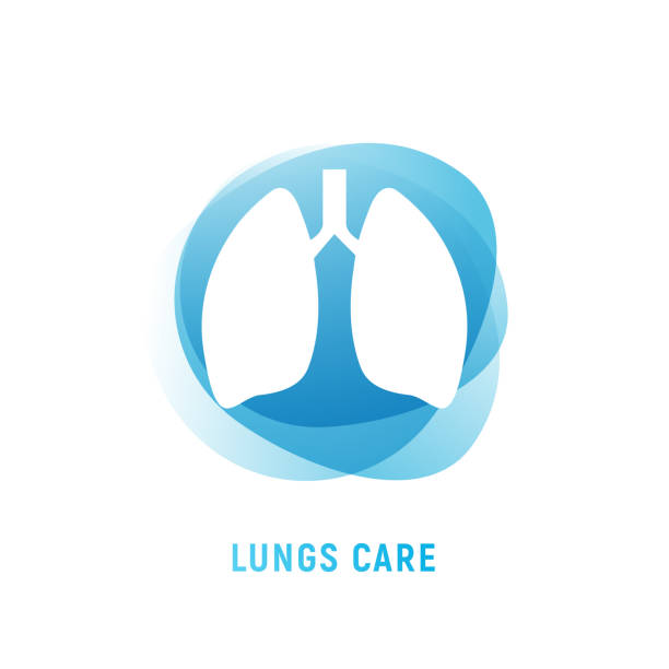 Lung human icon, respiratory system healthy lungs anatomy flat medical organ icon Lung human icon, respiratory system healthy lungs anatomy flat medical organ icon. clip art of a diagram of human lungs stock illustrations