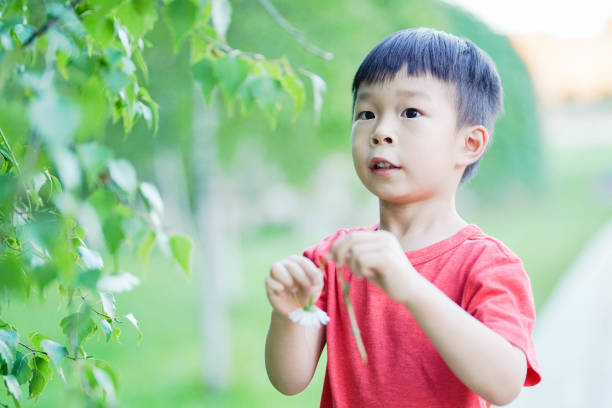 Boy with Dandelion in the Park