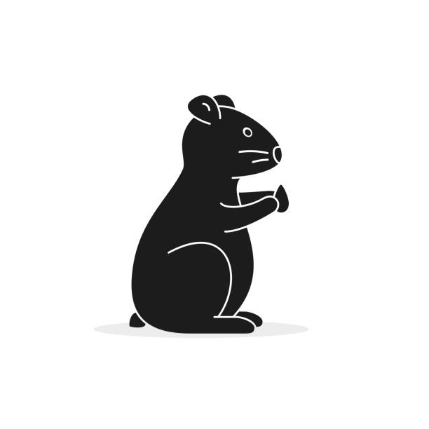 ikona chomika, ilustracja wektorowa na białym tle. widok z boku - mouse gerbil standing hamster stock illustrations