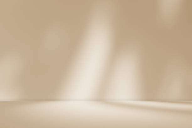 istock Empty brown cream beige room studio with shadow of leaves for product presentation. 2029399529