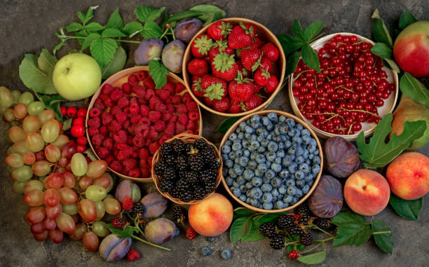 raspberry, bilberry, gooseberry, cranberry and currant. harvest concept. top view, high resolution product. - berry fruit currant variation gooseberry imagens e fotografias de stock