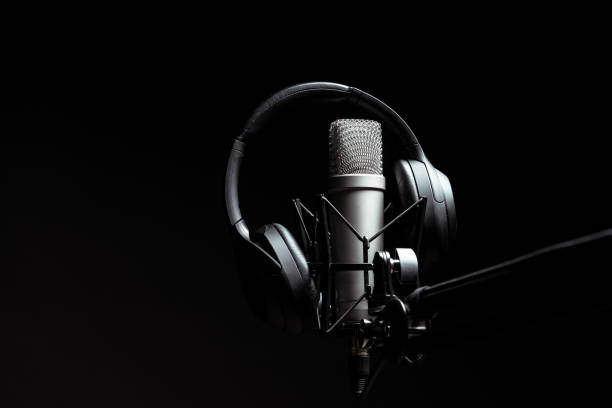 istock Professional microphone in the dark on black background 2029449960