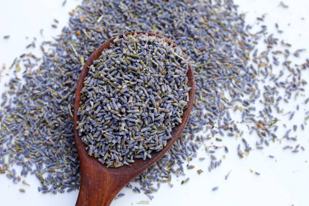istock Dried lavender buds for brewing a herbal tea 2029466813