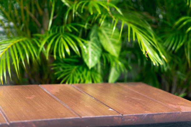 istock Empty show for packaging product presentation. Wooden tables and spaces are set up with tropical foliage. 2029477599