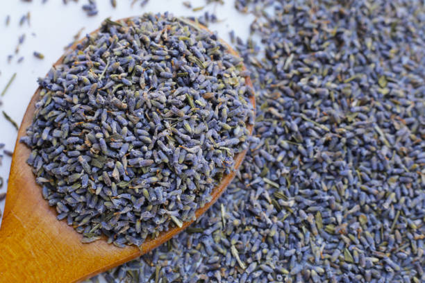 istock Dried lavender buds for brewing a herbal tea 2029484836