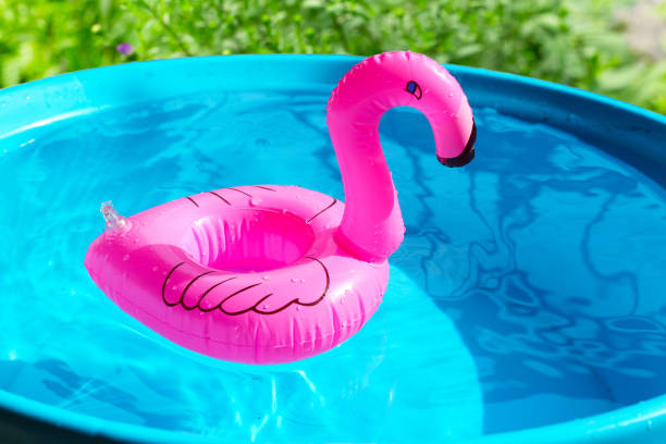 istock Rubber ring for swimming. Summer background concept 2029495946