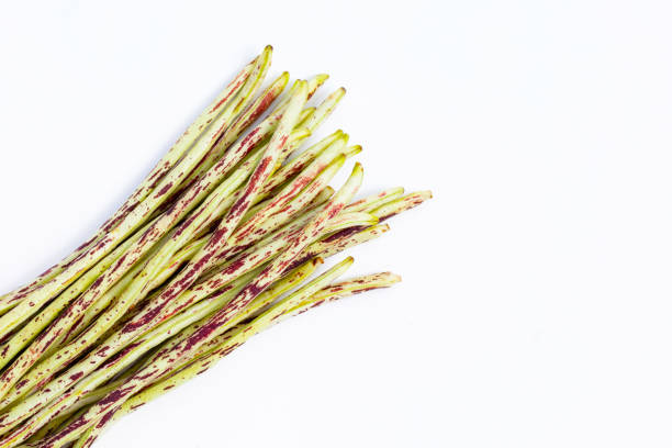 istock Green purple yard long bean on white. 2029496460