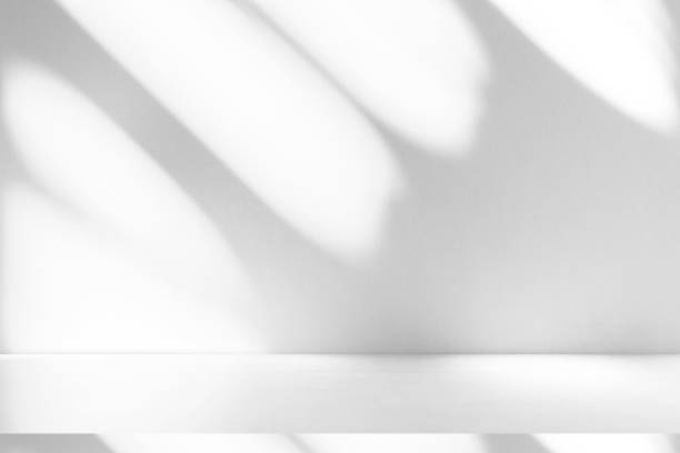 istock Wall interior background, studio and backdrops show products.with shadow from window color white . background for text insertion and presentation product 2029499618