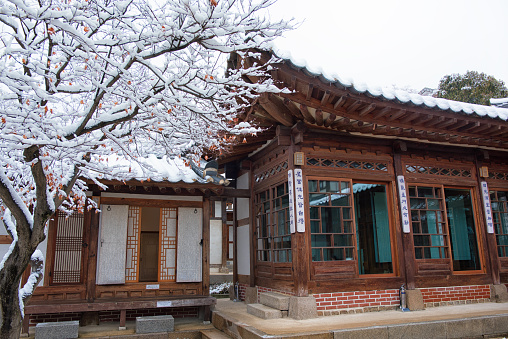 Seoul Bukchon, Korea 서울 북촌 한옥마을