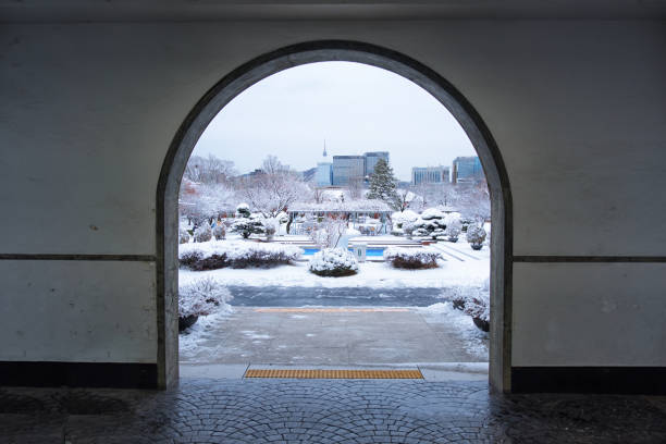 Winter Landscape in Harbin,China