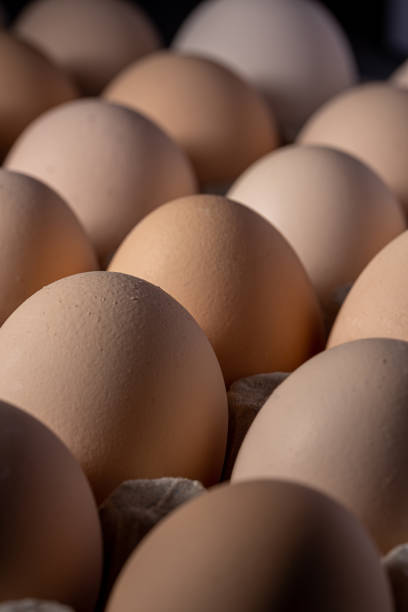 istock Brown eggs stacked in rows.Group of Fresh white Eggs in a cardboard cassette. Organic food from nature good for health. 2029539094