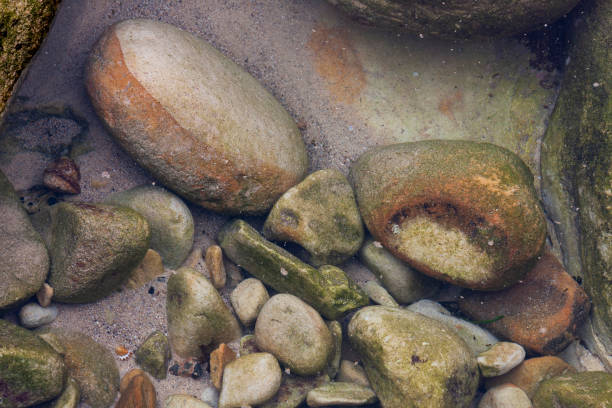 istock Rock pools at Tamarama Beach, Sydney, NSW Australia 2029551632
