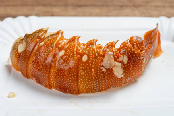 Lobster Shell Features 20,600+ Lobster Shells Stock Photos, Pictures & Royalty-Free Images ...