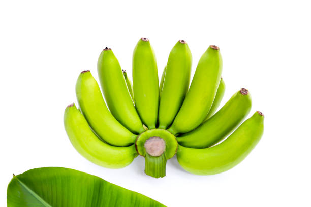 Green banana on white background.